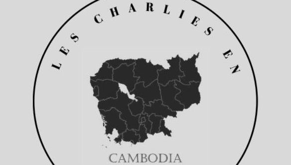 , Un appel aux dons pour un stage infirmier au Cambodge
