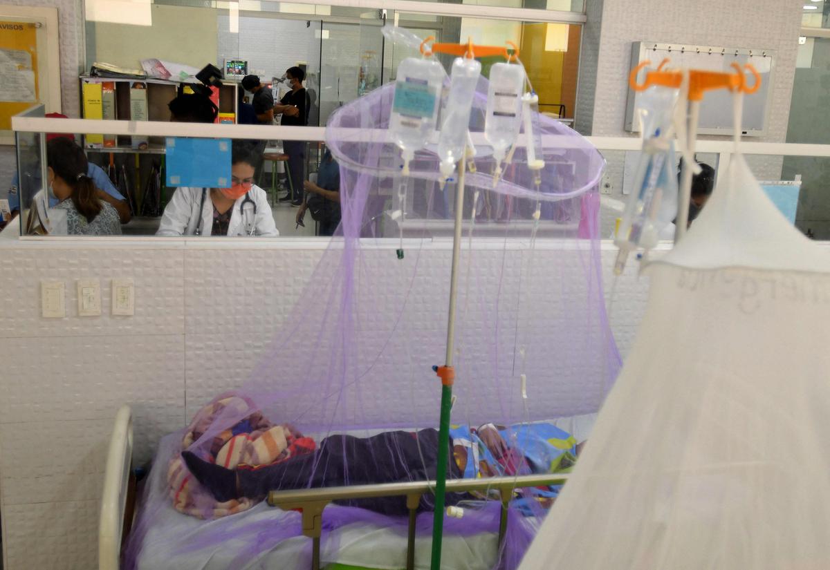 , Grippe aviaire : une jeune fille de 11 ans décède au Cambodge, un cas rare