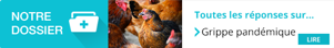 , Grippe aviaire au Cambodge : l&rsquo;hypothèse d&rsquo;une transmission interhumaine écartée