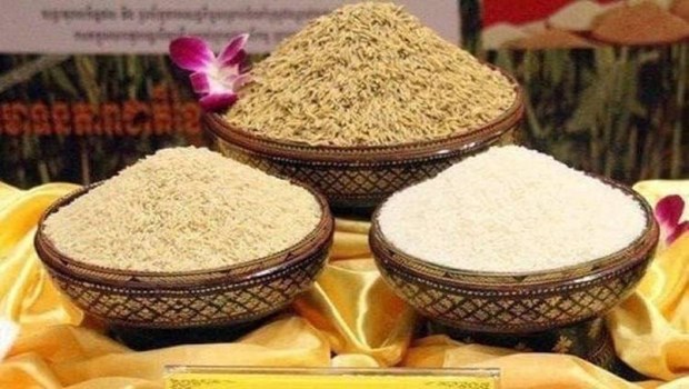 Cambodge : les exportations de riz decortique rapportent pres de 230 millions de dollars hinh anh 1