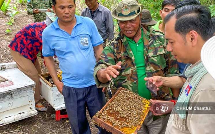 projet d'apiculture de la Fondation Angelina Jolie prospère 2.jpg