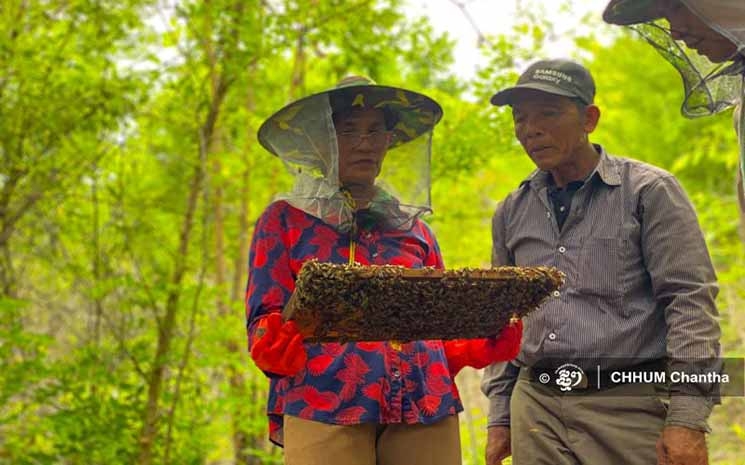 Comme l'explique Chey Rorng, bien qu'elle soit toujours agricultrice, l'argent supplémentaire qu'elle tire de la vente du miel l'aide à payer les frais de scolarité de ses enfants. Photo : Chhum Chantha 