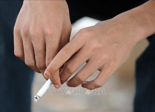 Le Cambodge impose la TVA sur les cigarettes hinh anh 1