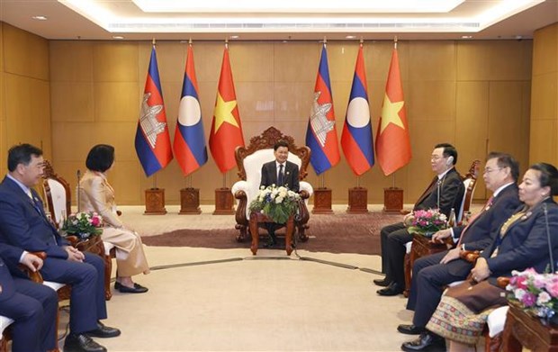 Le president de l’AN Vuong Dinh Hue au premier Sommet parlementaire Cambodge-Laos-Vietnam hinh anh 3