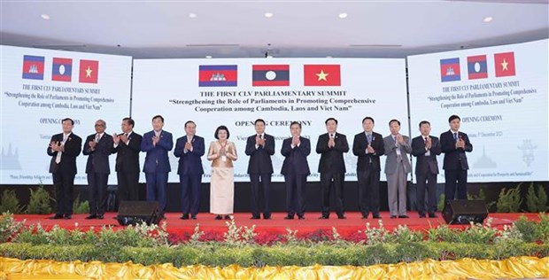 Le president de l’AN Vuong Dinh Hue au premier Sommet parlementaire Cambodge-Laos-Vietnam hinh anh 1