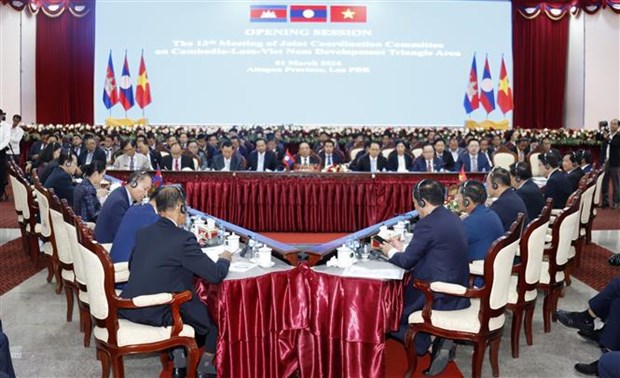 Renforcement de la cooperation du Triangle de developpement Cambodge-Laos-Vietnam hinh anh 1