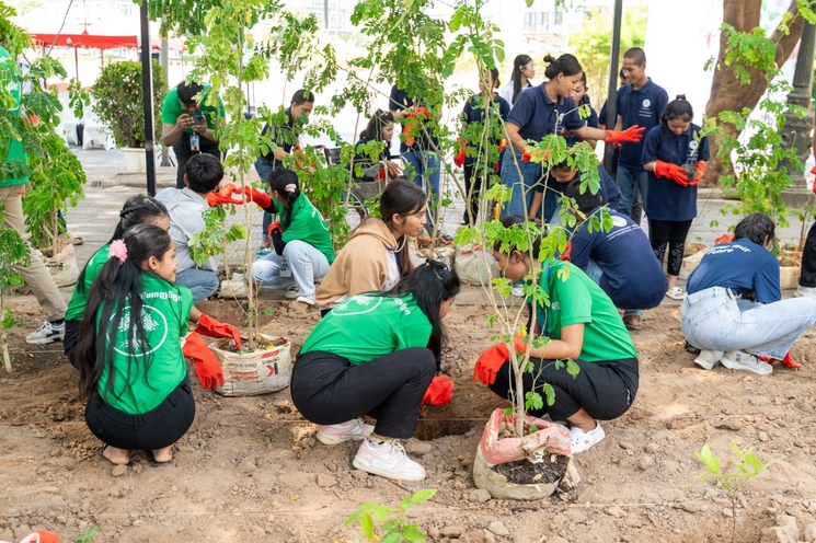 Jeunes qui plantent un arbre