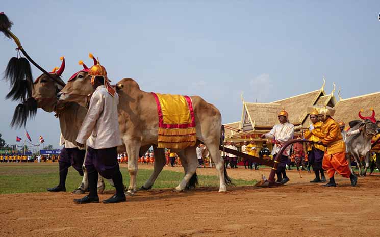 , La fête du Sillon sacré se déroulera le 26 mai dans la province de Kampong Speu